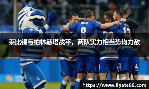 zoty中欧体育官方网站