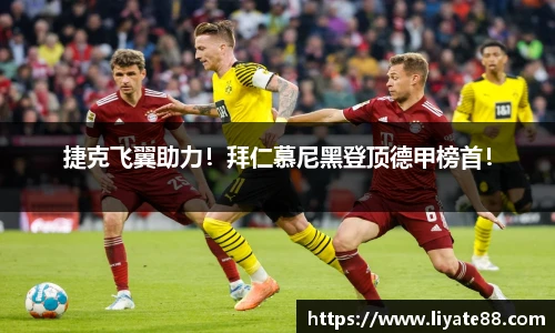 中欧体育
