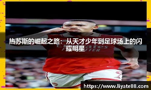 中欧体育官网