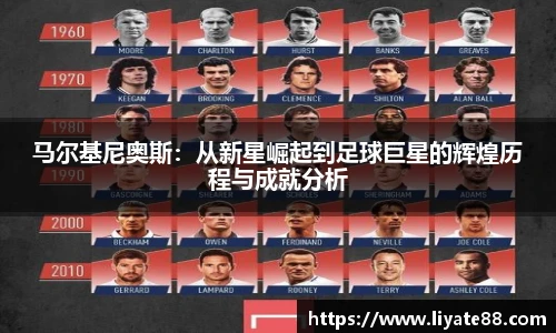 中欧体育